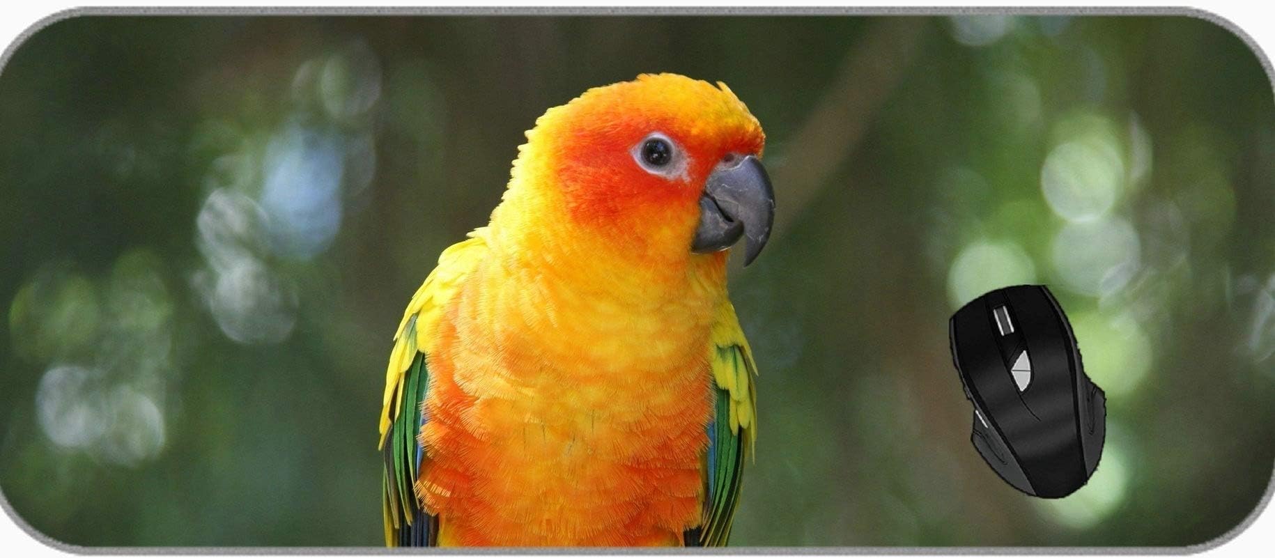 Long Extended Mousepad Desk Pad Bird Parrot Gaming Mouse Pad Large XXL