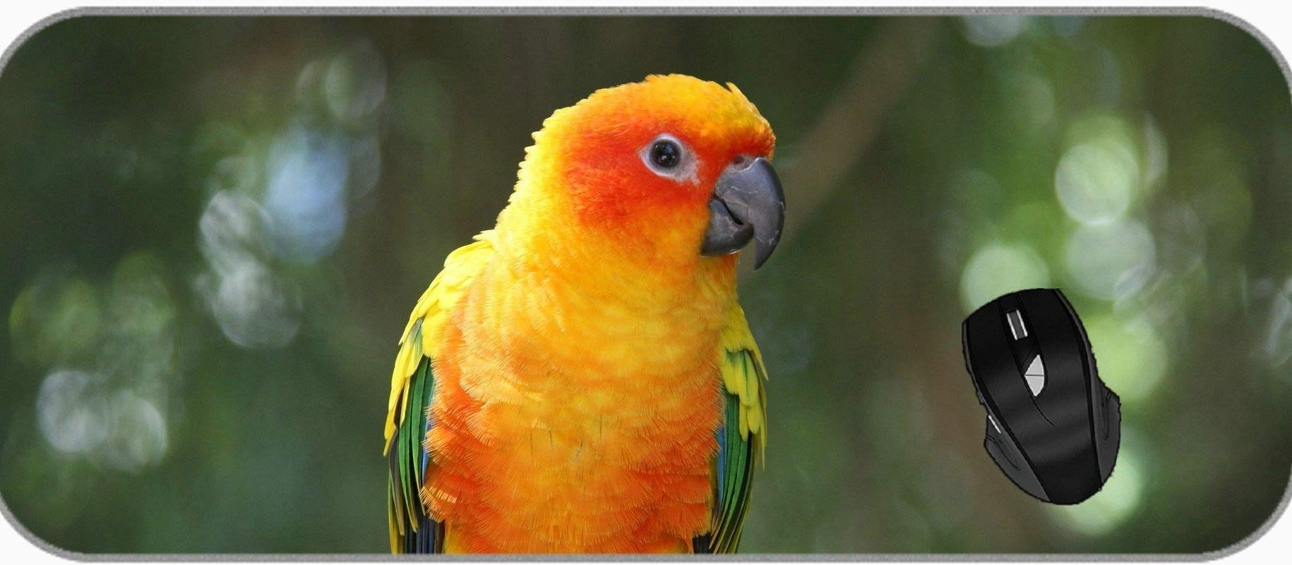 Long Extended Mousepad Desk Pad Bird Parrot Gaming Mouse Pad Large XXL