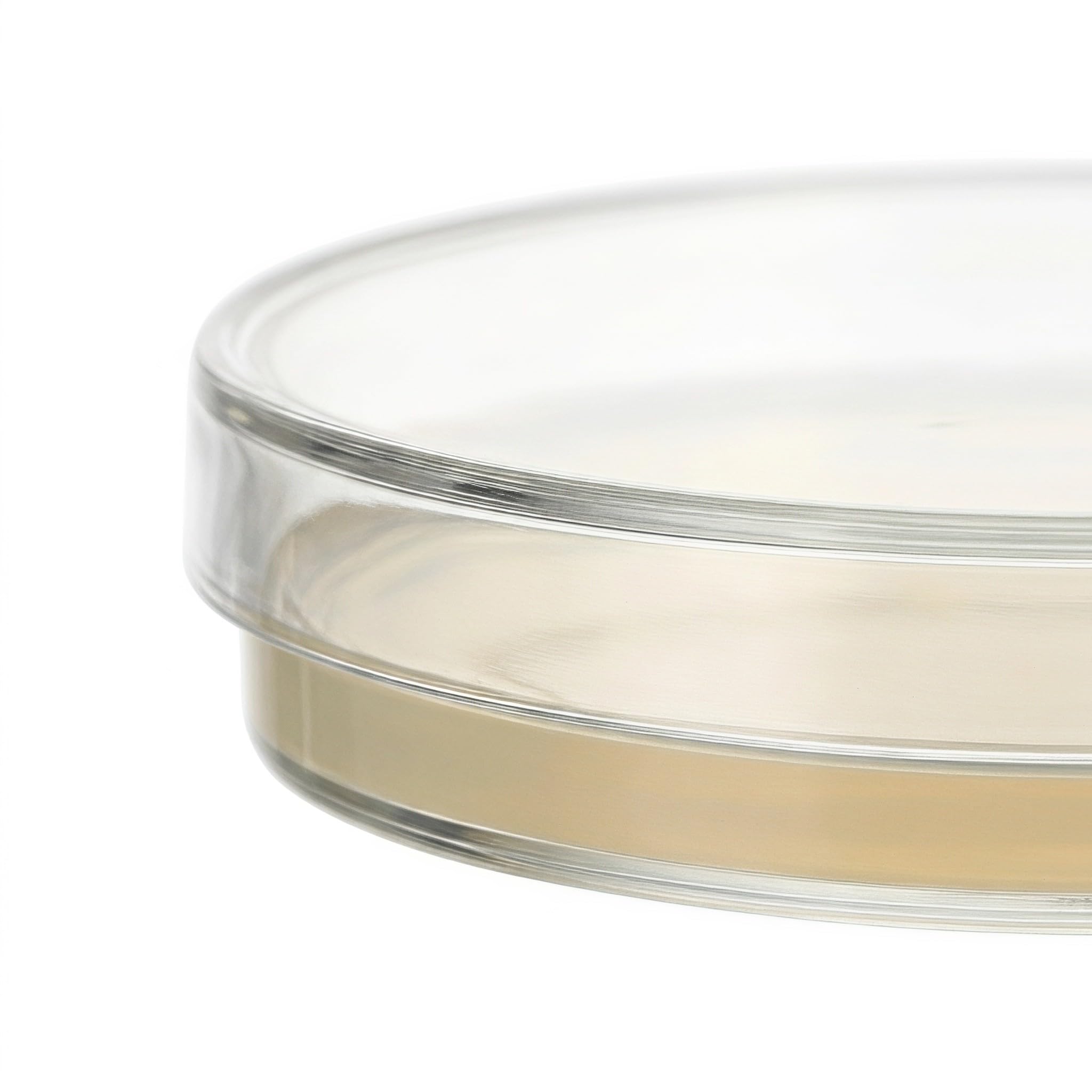 OUNONA 30 placas de Petri con agar nutritivo - Placas de agar pre-vertido de 7 cm (2,8") para que los estudiantes aprendan microbiología e investigación de laboratorio.