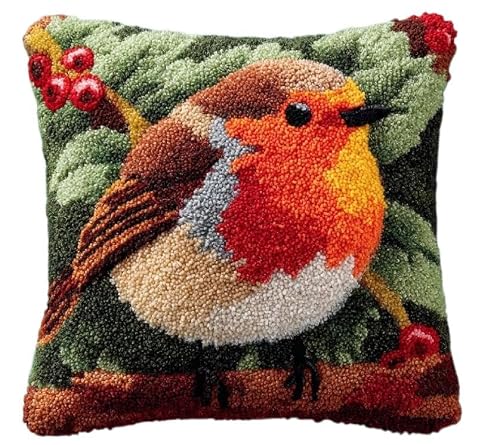 Taxpy Latch Hook Kit Pillow Robin Bird 17X17In