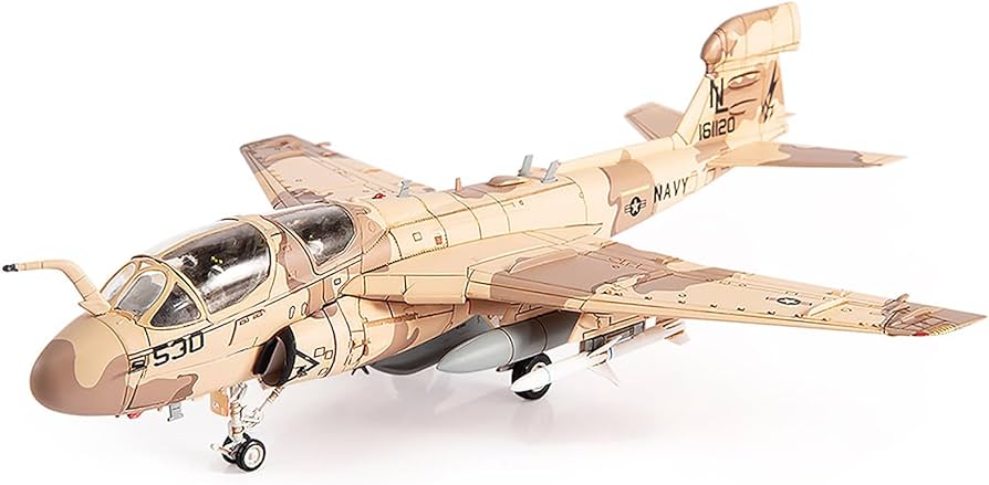 Amazon.com: Grumman EA-6B Prowler Attack Aircraft VAQ-133 Wizards