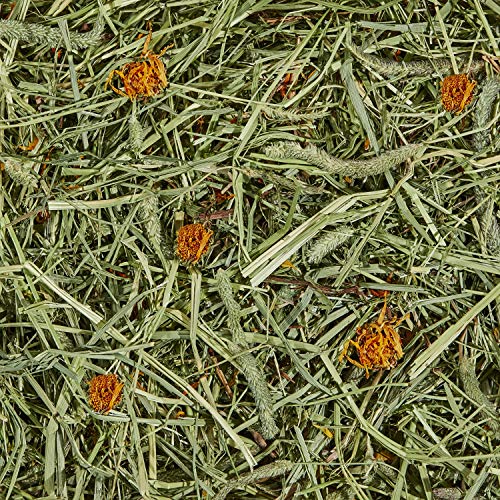 Image of Kaytee All Natural Timothy Hay Plus Marigolds for Guinea Pigs, Rabbits & Other Small Animals, 24 Ounce (Pack of 2)