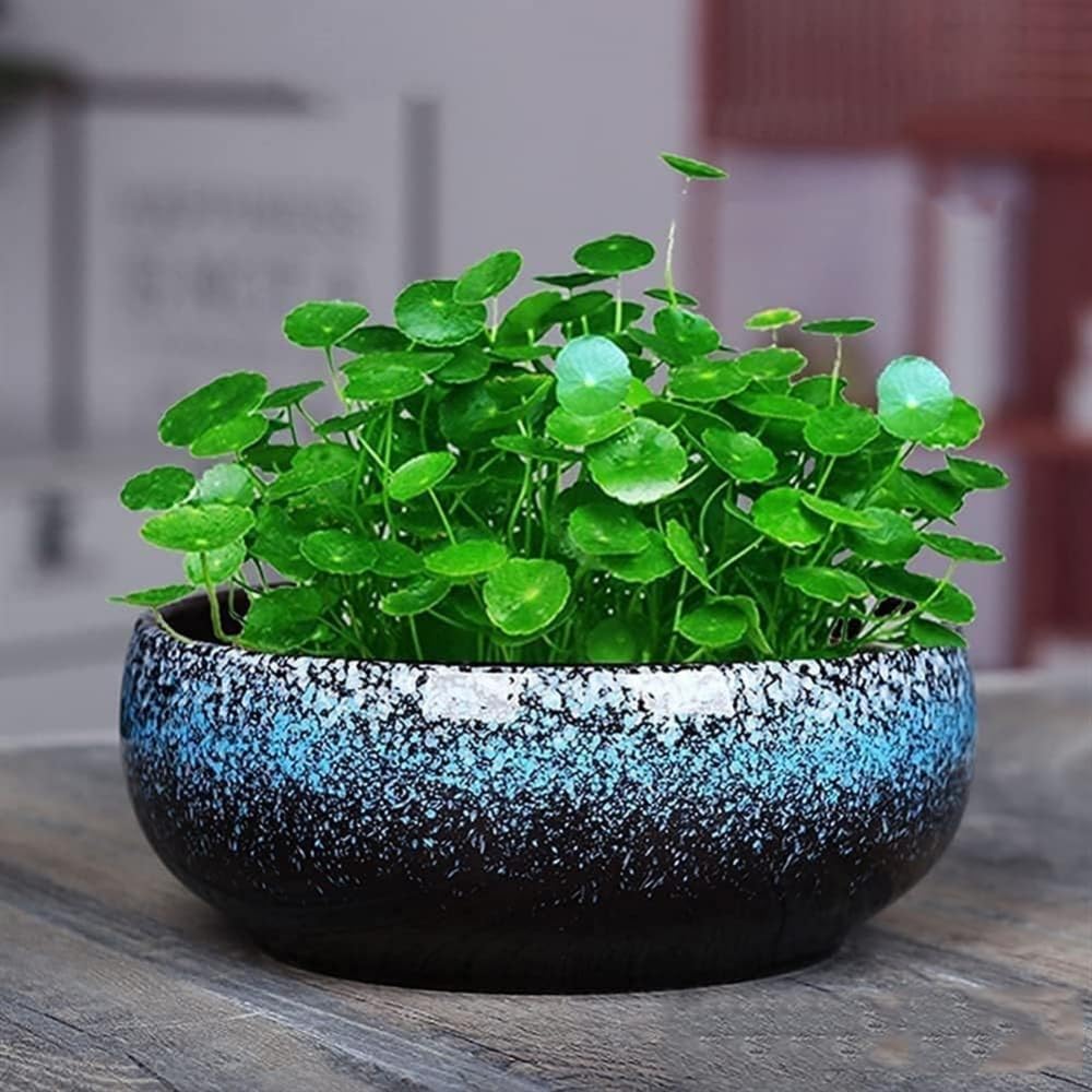Okrągłe płytkie szkliwione ceramiczne doniczki na kwiaty niebieskie doniczki na sukulenty nieporowate doniczki bonsai zewnętrzne ozdobne ceramiczne doniczki na rośliny po