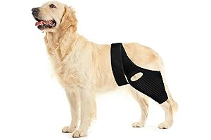 Dog Leg Braces for Back Leg ACL Tear and Dog Legs Joint Support