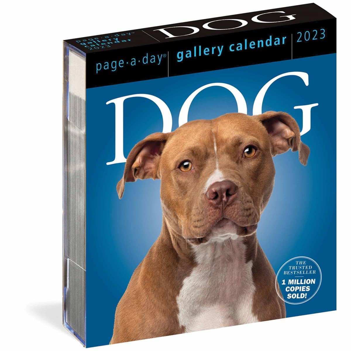 Cover of Dog Page-A-Day Gallery Calendar 2023: An Elegant Canine Celebration
