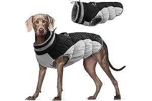 FUAMEY Warmest Dog Coat for the Coldest Winters