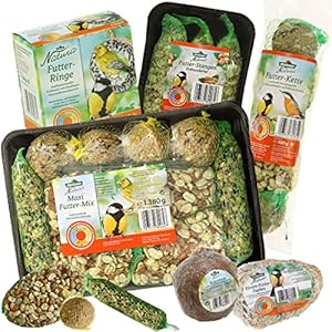 Dehner Natura Premium Wildvogelfutter, Spezial-Snackmix, Wildvogelsnack, Ganzjahresfutter energiereich / kraftspendend, hochwertiges Vogelfutter für Wildvögel, 6-teilig