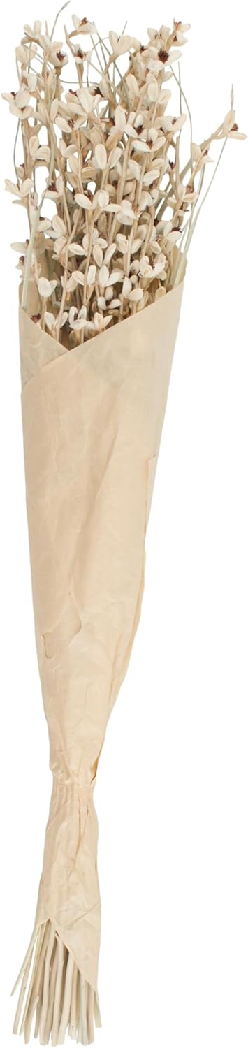 Deco 79 Dried Plant Home Decor Natural Foliage Tall Floral Bouquet Natural Dried Foliage with Brown Stems, Foliage for Decoration 7" x 7" x 41", Cream