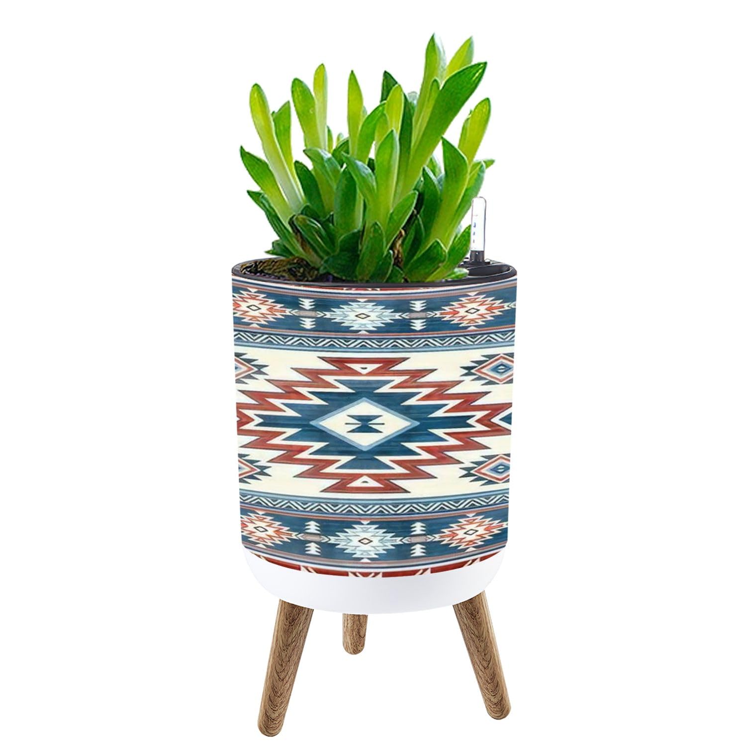 pot size for spider plant Spider Plant Variegated with Planter - Small (3