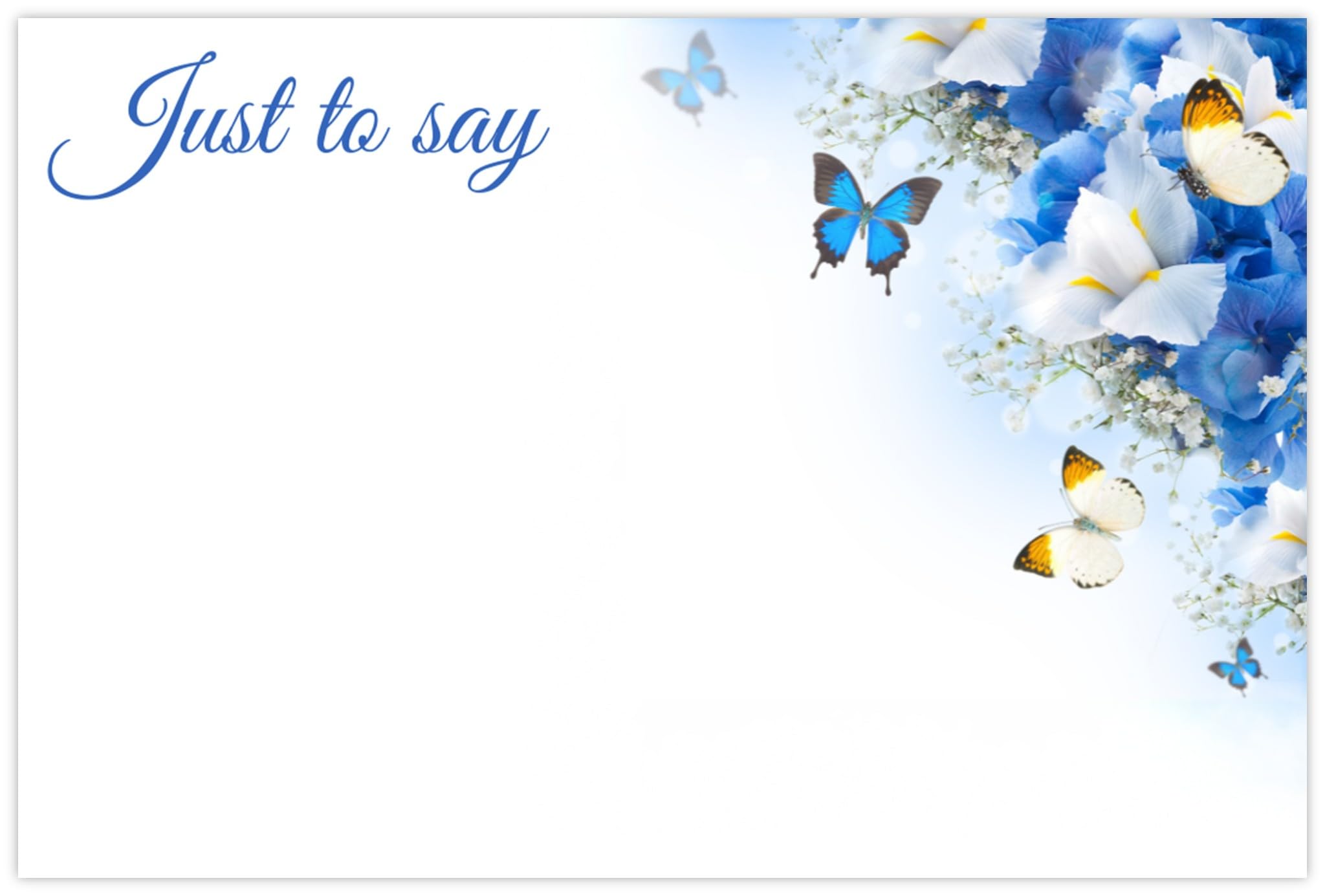 celloexpress Just to Say (Blue & White Butterflies) Flower Message Cards - 60mm x 90mm - Everyday Occasions Florist Card Gift Notes (Pack of 50) — image 1