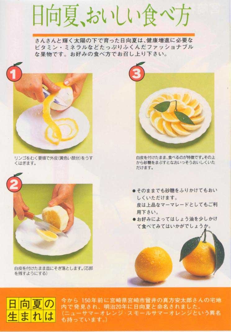 Amazon.co.jp: ［産直宮崎県］ 種無日向夏 赤秀 13～14玉 化粧箱入り