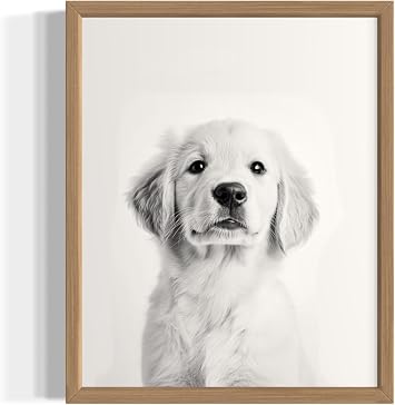 Golden Retriever White Wall Art Print Poster, Puppy Pet Animal Gifts Black and White Picture Painting Puppies Kids Childrens Room Bathroom Gallery 158B Golden Retriever White, 11x14 inches, Wood Frame