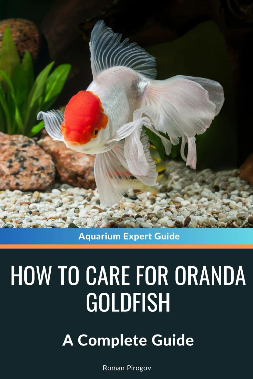 How to Care for Oranda Goldfish: A Complete Guide