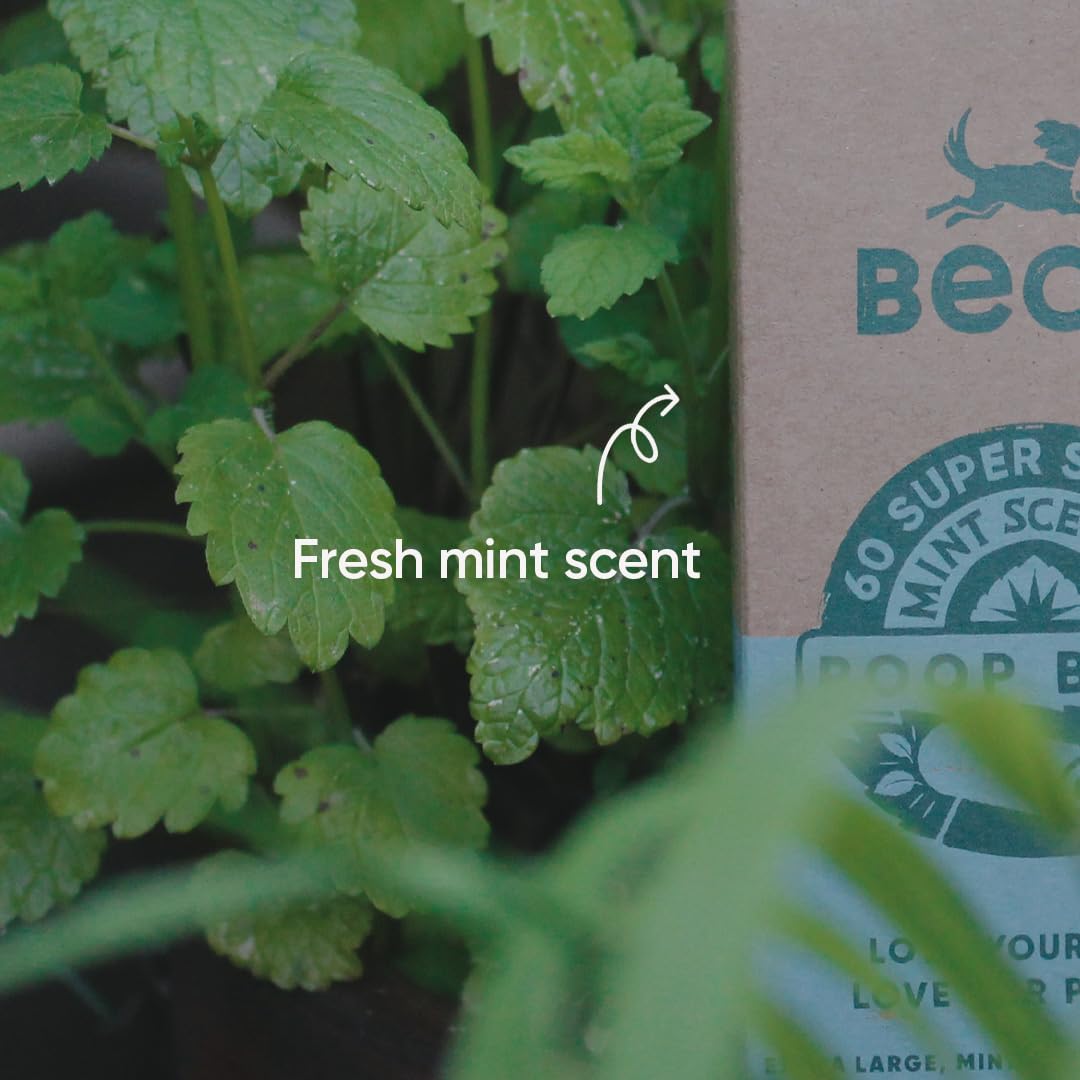 Beco - Bolsas Grandes para Mascotas, Resistentes y ecológicas, para Perros, Aroma a Menta