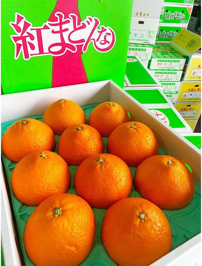 1L 12本！減農薬！甘さ控えめ本来のりんごの味！青森県産りんご100