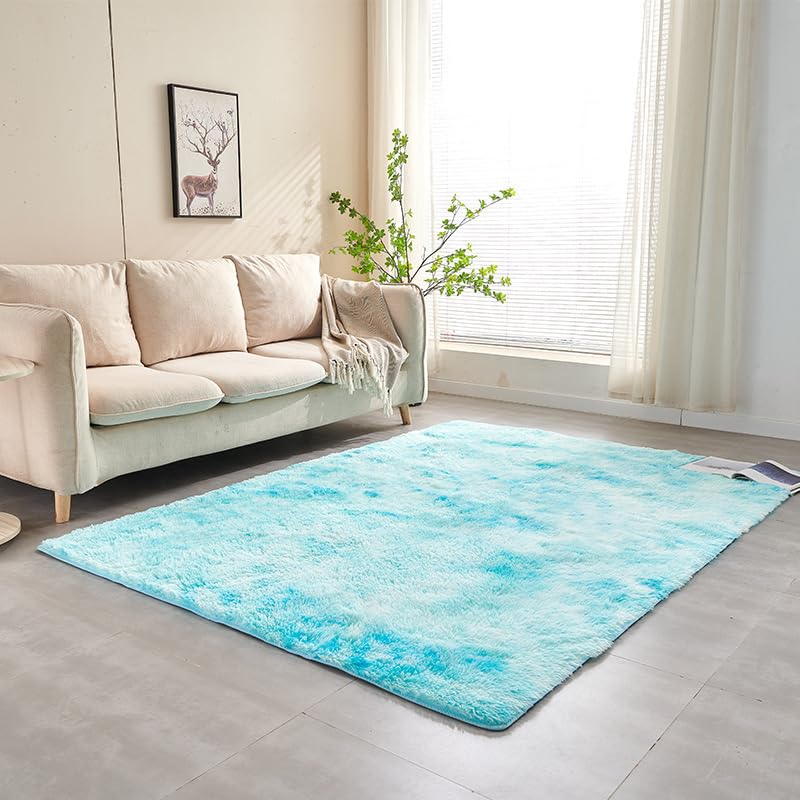 Tapis en peluche de couleur unie doux et moderne pour salon et chambre