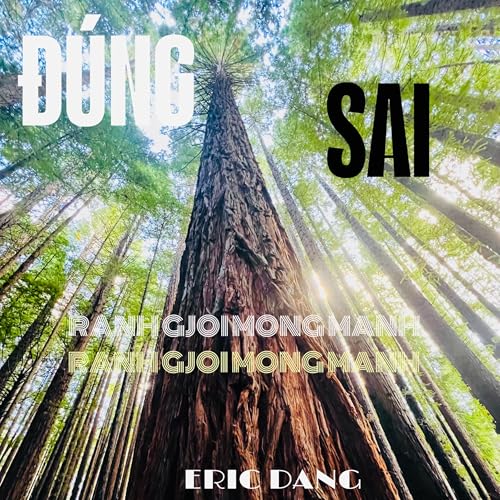 Đúng - Sai: Ranh giới mong manh