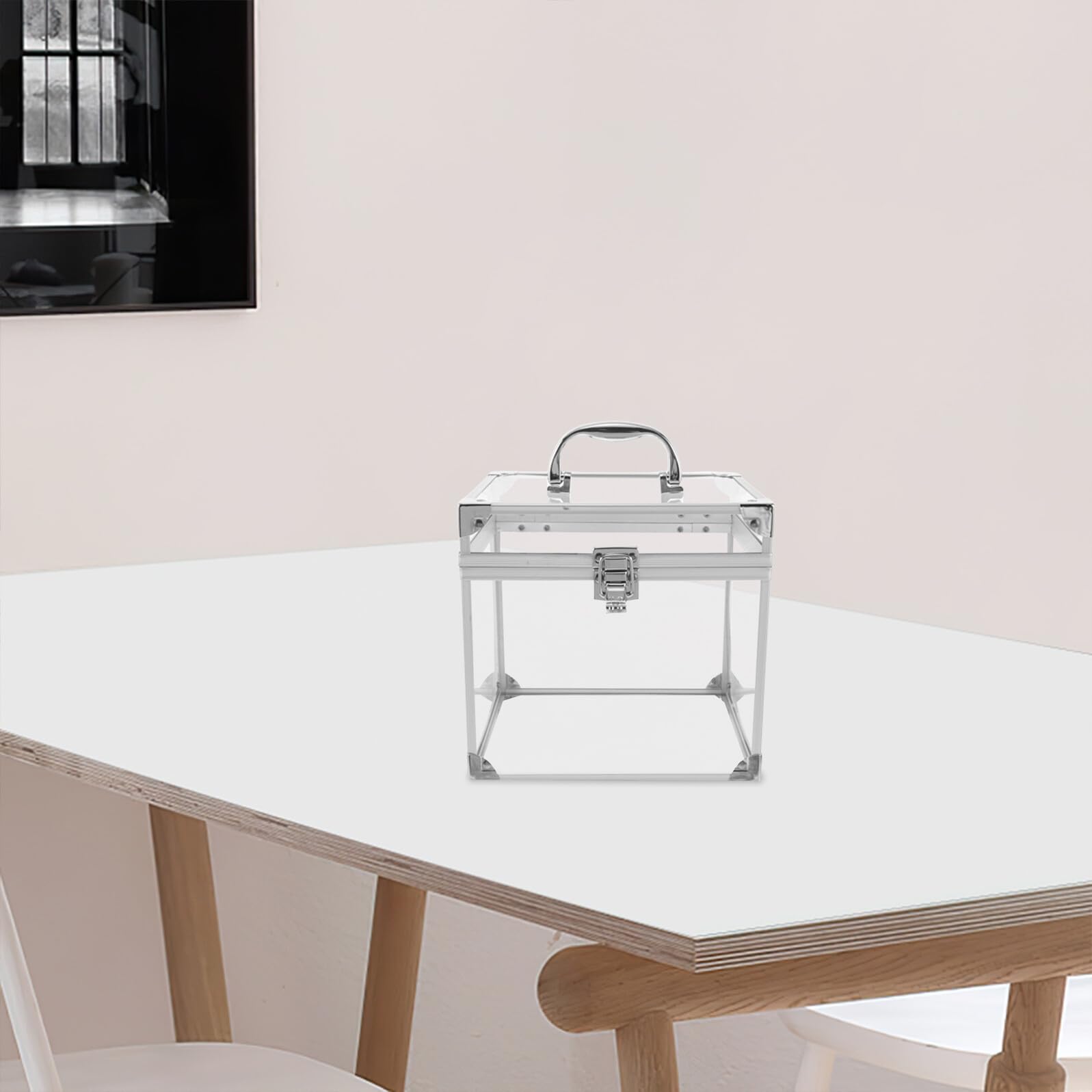 Porta Album in Acrilico Trasparente con Manico, Contenitore Grande Capacità per Custodia Vinile, Organizer Elegante per Studio e Casa