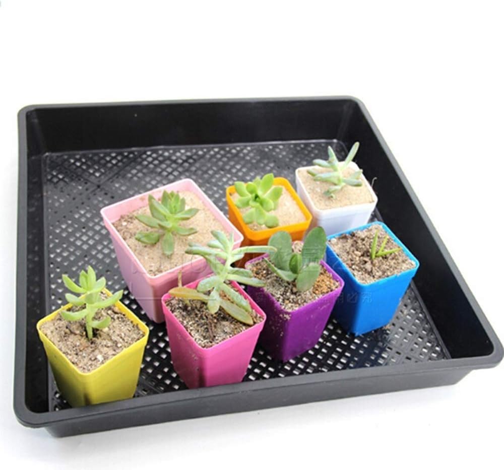 1PC Seedling Starter Trays,Cells Seedling Starter,Seedling Starter Tray Plant Growing Nursery Tray for Gardening Seed Germination for Garden : Patio, Lawn & Garden