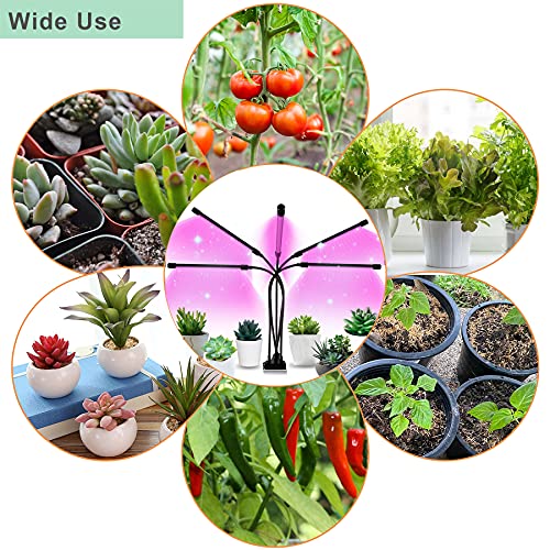 Best Grow Lights for Orchids Best LED Grow Lights Info