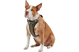 Kong Max Dog Harness For Safe and Durable Dog Walking