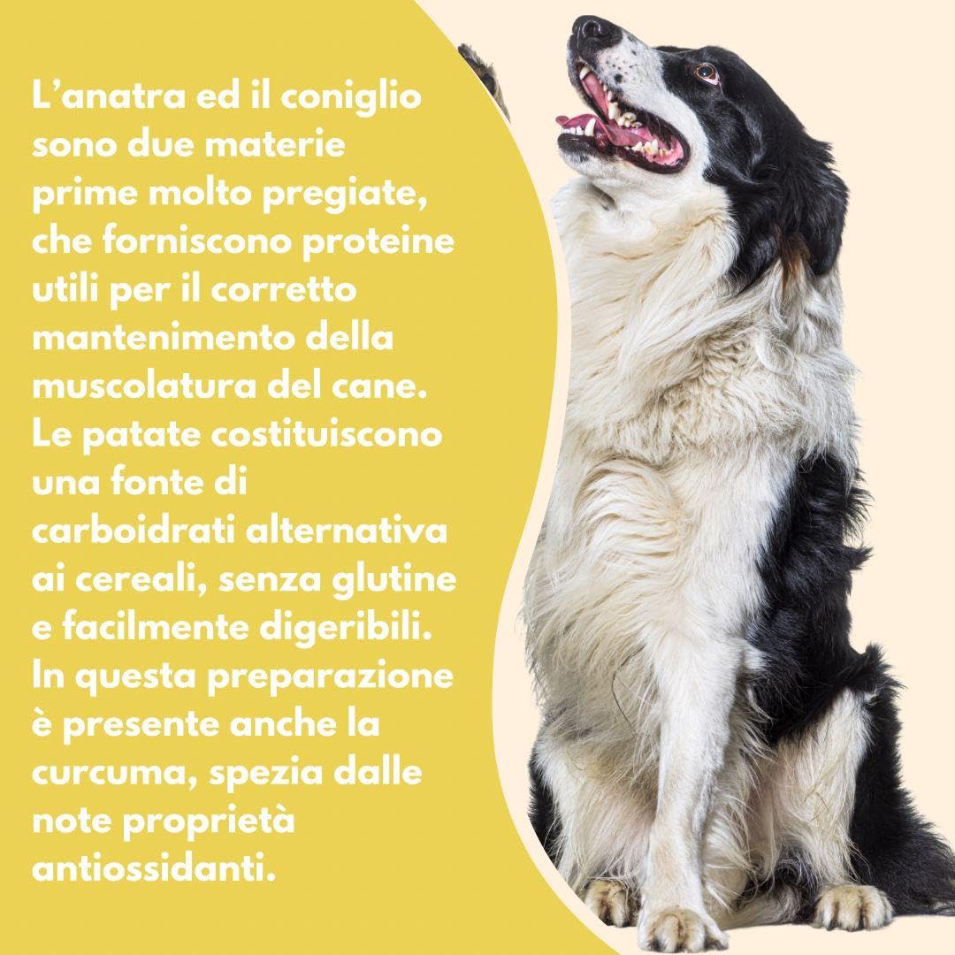 Natural Code - Comida húmeda para perros adultos de todas las tallas y razas en lata, sabor a pato, conejo y patatas - Alimento completo para perros adultos de todas las tallas y razas en lata | 6