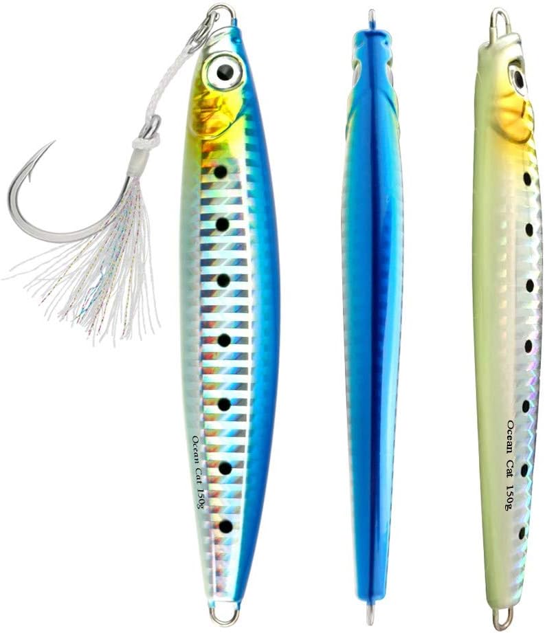 OCEAN CAT 1 PC Slow Fall Pitch Lead Metal Flat Fishing Jigs Lures Sinking Vertical Jigging Bait with Circle Hook for Saltwater Fishing : Sports & Outdoors