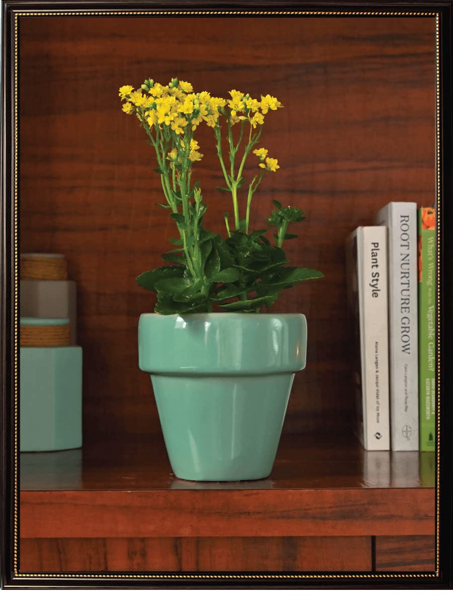 UGAOO 601S The Dream Pot - Aqua Green