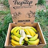 Caja de Plátanos de Canarias | Fruta Tropical Directa del Agricultor, Cultivado en España, Recién Recolectado, Dulce, Natural y Sin Químicos (3 Kg)