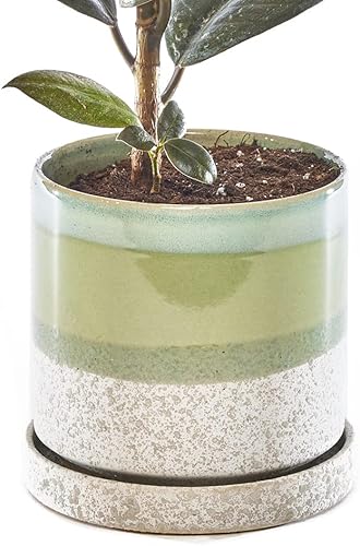 Miniatura 33 de CHIVE Macetas de cerámica para suculentas 'Minute', macetas de 5 pulgadas para cactus y flores de interior con drenaje y platillo desmontable, verde
