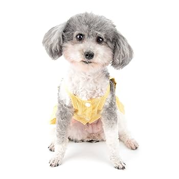 Zunea Plaid Dog Dresses For Small Dogs Summer Princess Dress With Bowknot Cute Puppy Clothes Ruffles Sleeveless Skirt Soft Female Dress Pet Chihuahua Yorkie Apparel Green XS