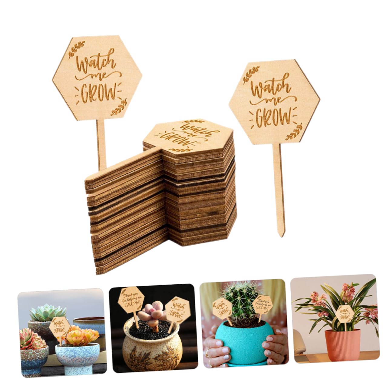 Toyvian 3 Sätze Holzetikett Im Freien Pflanzenanhänger Wasserfest Gartenschild Pflanzenpfahl Sukkulenter Marker Gartenpflanzenmarker Etiketten Stichworte 40 Stück * 3