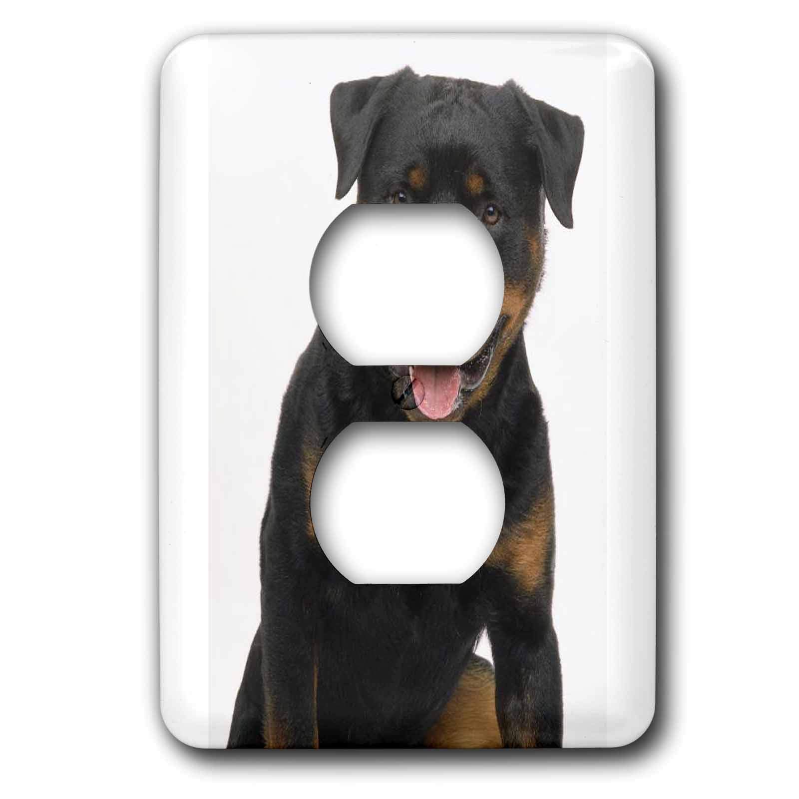 Rottweiler cache de sortie double ouverture 3dRose lsp_4379_6 rigide