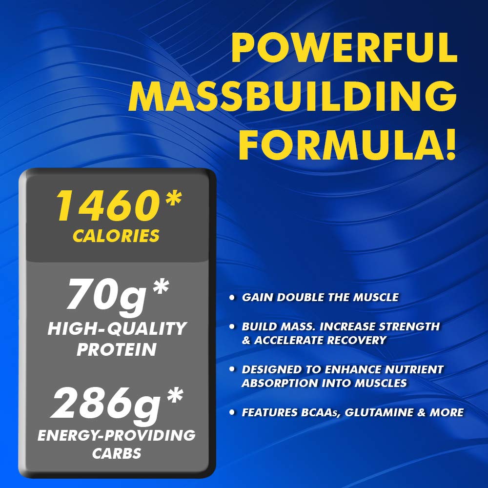 Muscletech Premium Mass Gainer,