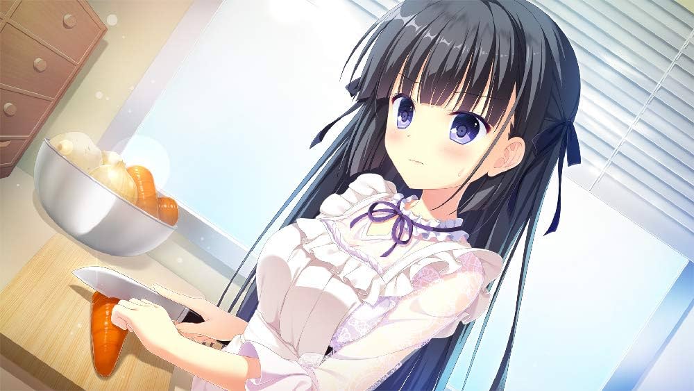 ダ・カーポ4 ゲーマーズ特典 B2タペストリー(諳子) 61QXxJ+3QUL._UF1000,1000_QL80_.jpg