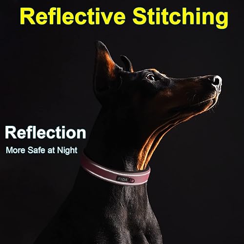 Miniatura 5 de Fida Collar para perro de alta resistencia, acolchado de neopreno suave ultra cómodo, collar de nailon reflectante ajustable para mascotas con