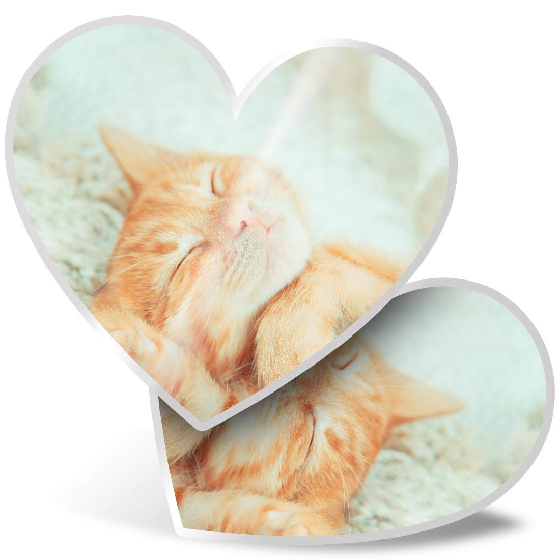 Destination Vinyl Ltd Multi 2 X 7.5Cm He Stickers - Sleeping Ginger Cat Kitten Pet Decals 15913
