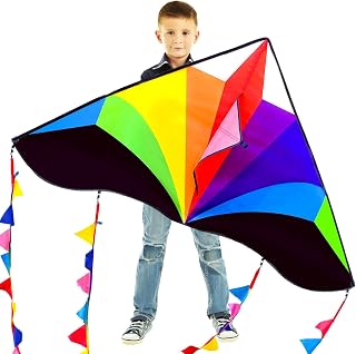 Kaiciuss Delta Rainbow Kite for Kids & Adults - Easy Fly 55'' Beach Kite with 300ft Line, Beginner Stable Single Line Kite