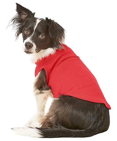 dog shirts amazon