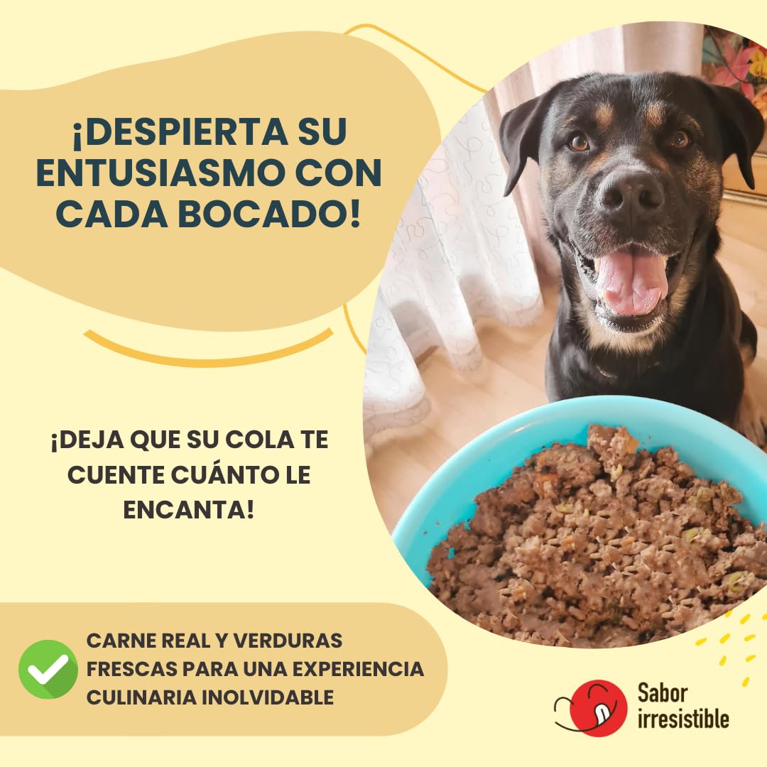 Naturalmente Feliz Alimento Natural casero para Perros, Comida húmeda con Carne y Verduras - 90% Carne (6x450gr) (Cocido Pollo - Ternera y Verduras) Comida Húmeda