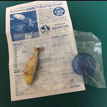 Amazon.co.jp: サンシャイン水族館限定 日本水族館立体生物図録