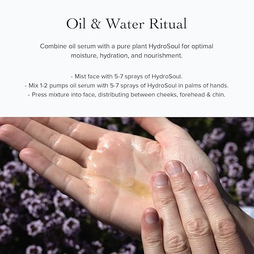 Miniatura 4 de evanhealy Suero intensivo de argán | Aceite de argán artesanal con aceites esenciales orgánicos | Tratamiento nutritivo y rejuvenecedor para todo