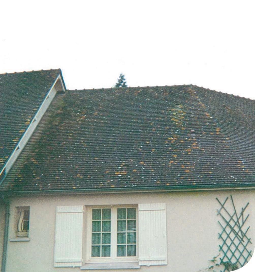 Anti-parasite végétal - 20L - Droguerie