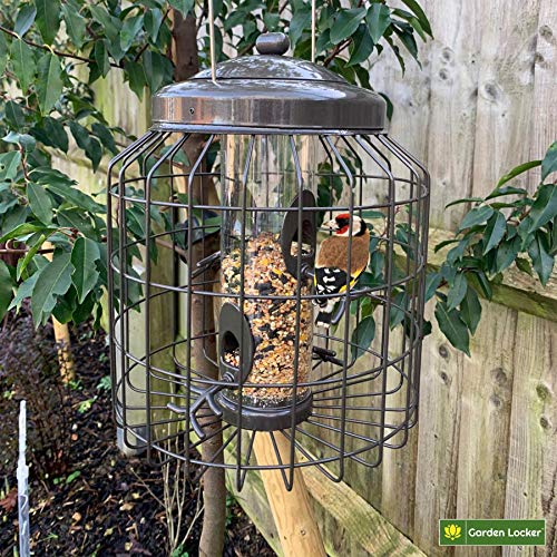 Large Heavy Duty Squirrel Proof Bird Feeder for Wild Seed Feed Mix