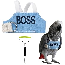 Bird Flight Harness Vest, Parrot Flight Suit for Parakeets Cockatiels Conures Budgies, Bird Flying Clothes for Outdoor Activities Training, Anti Bite BOSS, with Leash,XXL