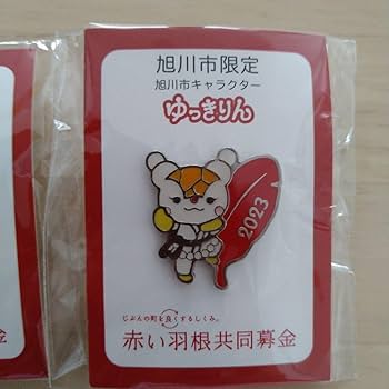 ゆあ　北朝鮮 ピンバッジ 3個セット RUNSEOKJIN EP TOUR in JAPANピンバッジ千葉、大阪 - メルカリ