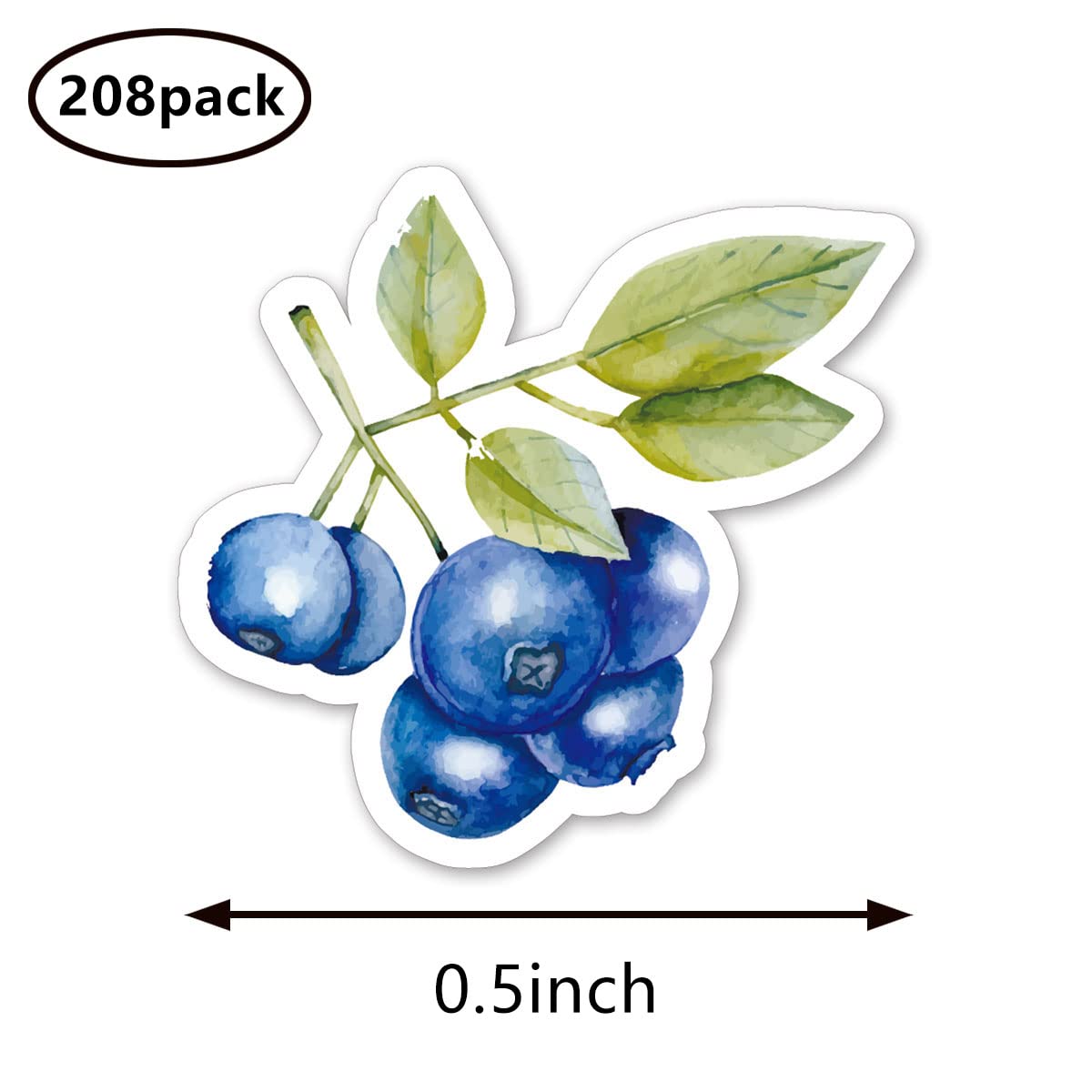 Blueberry Berries Healthy Food Planner Stickers, 0.5in Monthly Scrapbooking Arts 208-Pack - Image 2