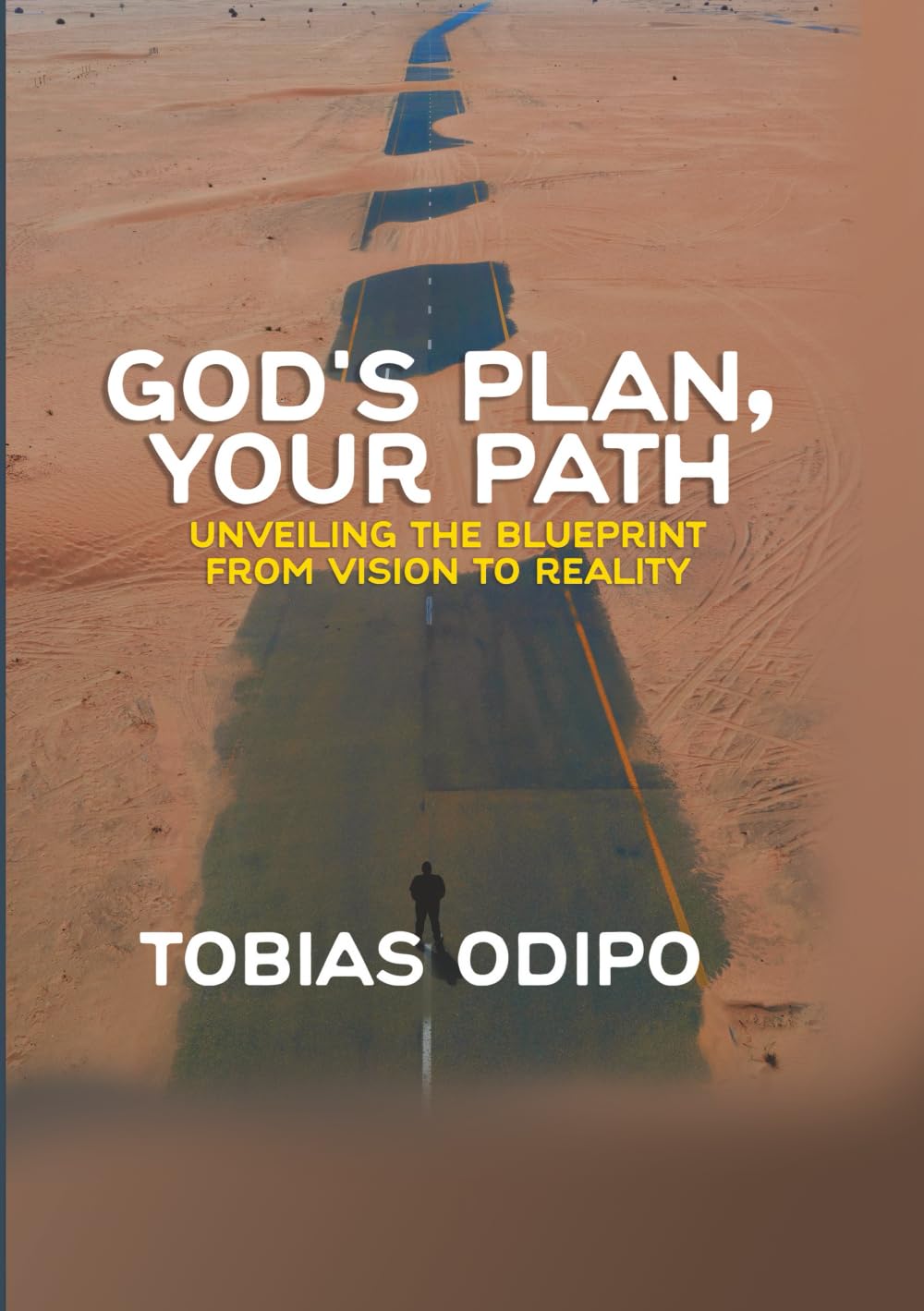 GOD'S PLAN, YOUR PATH: UNVEILING THE BLUEPRINT:FROM VISION TO REALITY