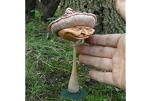 10cm/3.9inch Resin Witch Face Mushrooms Figurine