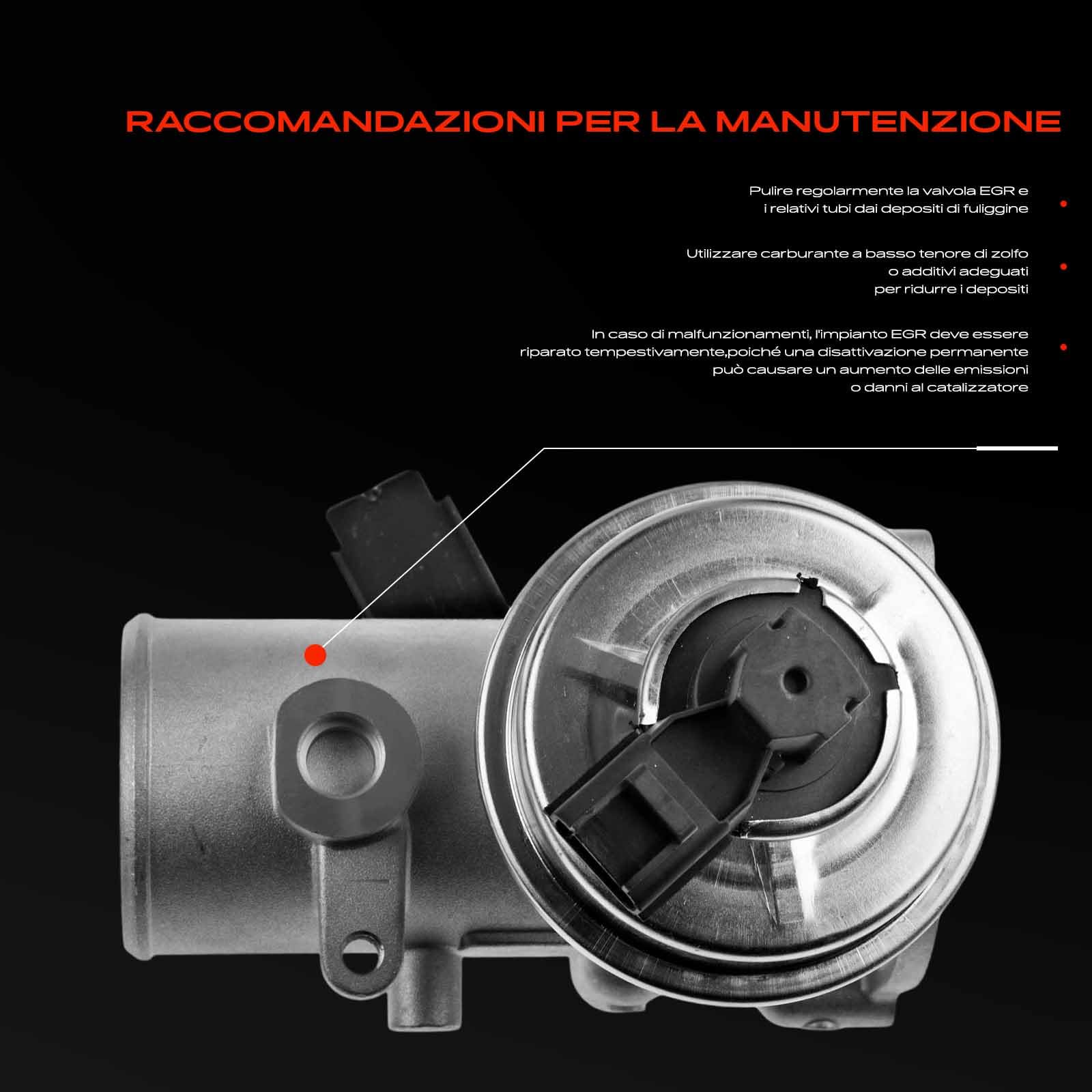 Frankberg Valvola EGR (valvola di ricircolo dei gas di scarico) 555304 | Compatibile con: Transit Box FA, Pianale/telaio Transit FM FN, Autobus di linea FB FC FD FS FZ